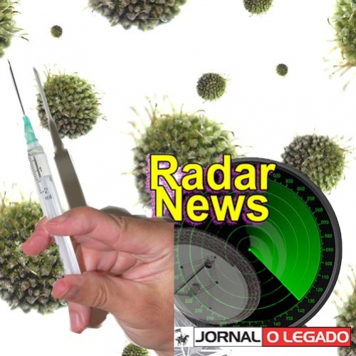 Vírus H1N1